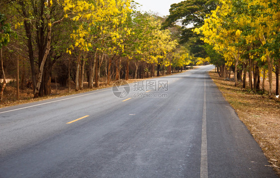 美丽乡村的路图片