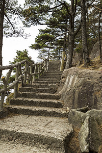 长楼梯向上爬进黄山公园背着树图片