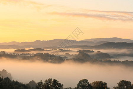 早晨有雾的自然景观图片