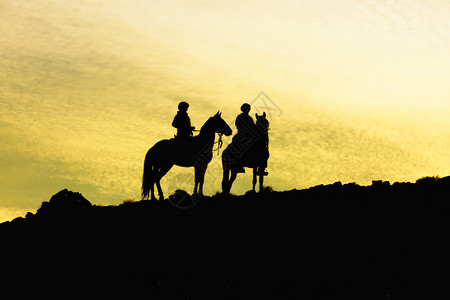 两匹骑马的雪橇在山上向着黄色的天图片