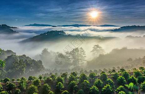 山坡上的日出反射出明亮的黄色天空图片