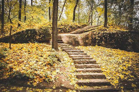 秋天公园的黄树叶落下时楼梯上图片