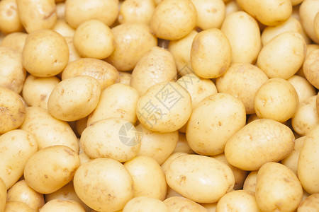 新鲜生土豆背景的特写图片