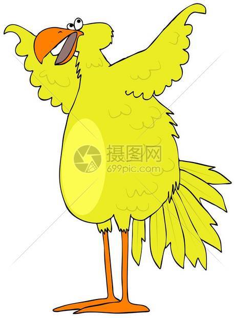 一只黄色鸟张开翅膀的插图图片