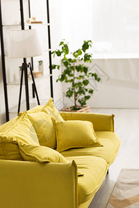 客厅里有垫子的舒适黄色沙发图片