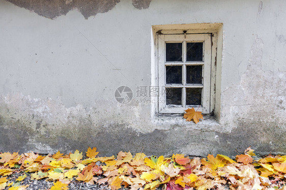 秋天古老的风景窗口地面上满图片