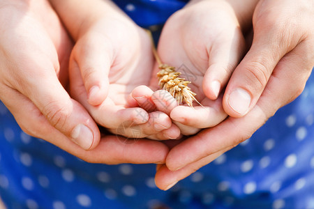 帮助别人母亲和她的小女儿手里拿着小麦概念背景