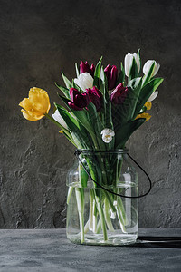 混凝土表面玻璃罐中的春天郁金香花图片