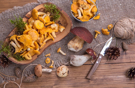 生锈木制桌上的野生新鲜蘑菇香肠肉卷牛排立苏拉复制空图片