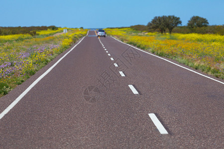 平面公路图片