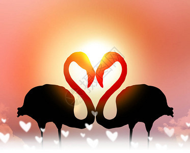 日落时情侣火烈鸟的爱情概念塑造心图片