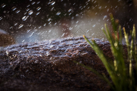 雨中的湿石头雨水滴落到石头上水在他们周图片