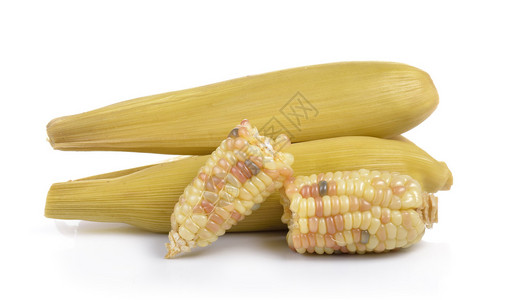 白色背景上的糯玉米背景图片