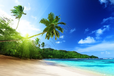 塞舌尔马埃岛日落时分的海滩图片
