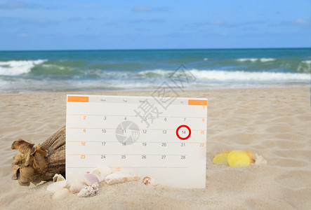 白色沙滩背景收藏中的海贝壳和情人节日历图片