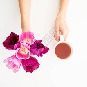 粉红郁金香茶杯和双手在白色背景上隔离图片