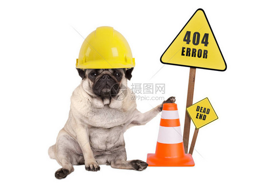 带黄色建筑工警用安全头盔和锥形404误差和木杆上死路标的狗图片