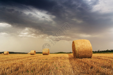 匈牙利天空壮观的稻草捆图片