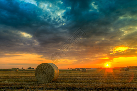 在农田的日落与干草捆图片