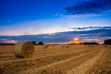 匈牙利干草泥巴的田野末日结束图片