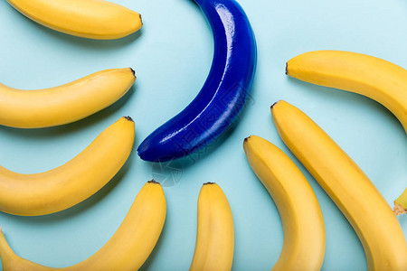 黄香蕉和蓝香蕉的顶端视图它们被隔在蓝色图片