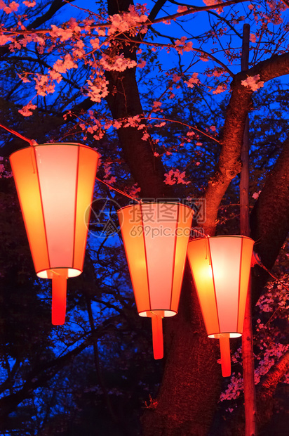 日本灯笼和樱花的美丽光亮和颜色在东京Ueno公园樱花观赏节OHanan图片