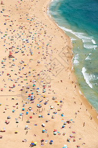 葡萄牙在大西洋沿岸的纳扎雷沙滩上看到鸟类的眼睛图片