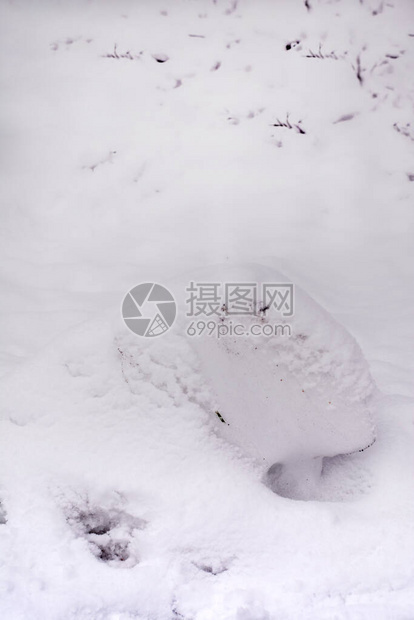 在雪背景的冬天雪堆图片