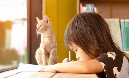 猫咪蹲在正在做作业的女孩旁边图片