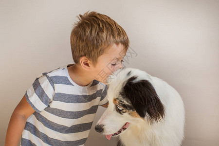 托德勒男孩在室内亲吻澳洲的牧羊人最好的朋友图片