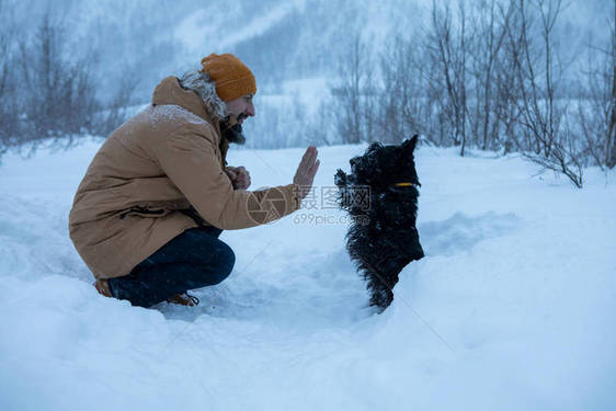 这只可爱的狗在雪中执图片