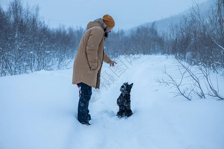 这只可爱的狗在雪中执图片