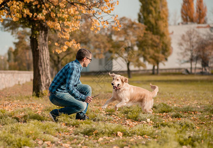 年轻人与金毛猎犬玩游戏的画像友谊宠物和人类男图片