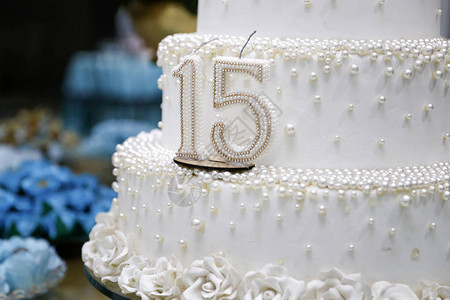 15生日蛋糕图片大全图片
