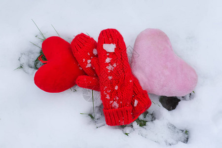 红手套纸狗和绿毛树枝在雪上图片