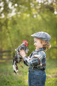 小男孩的鸡肖像白种卷发男戴帽子在图片