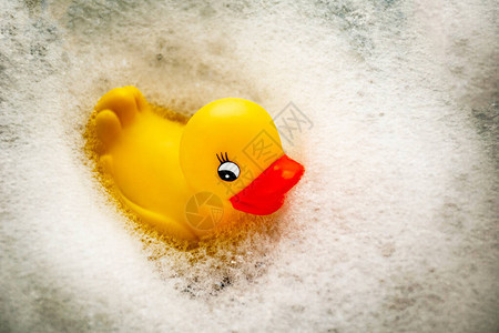 橡皮小鸭在浴室里游泳图片