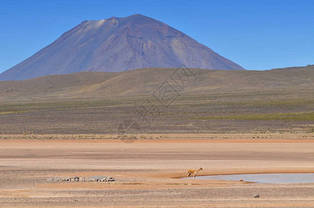 秘鲁埃尔米斯蒂火山萨利纳斯和阿瓜达布兰图片