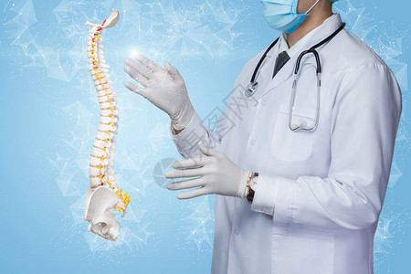病人脊椎研究治疗概念医生在网上用蓝色的背景模拟脊椎的模图片