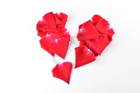 花 碎玫瑰花瓣的红心碎孤立在白色背景上抽象征着爱背景
