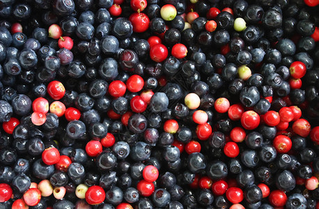 新鲜的成熟蓝莓和红莓图片
