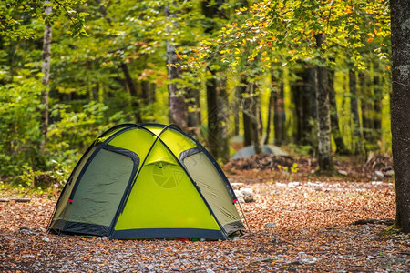 景色森林营地和现代绿色伊格卢风格帐篷娱图片