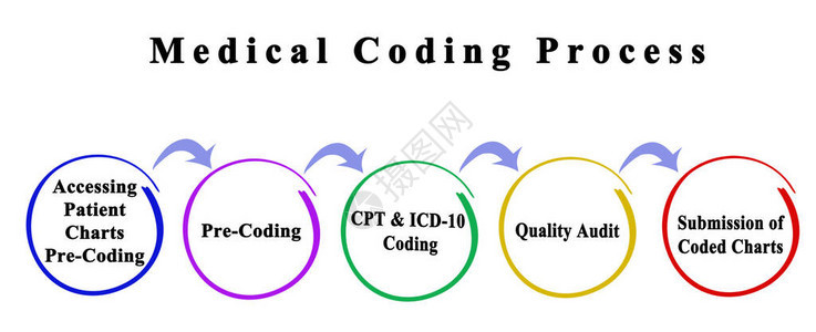 医疗编码过程的组成部分背景图片