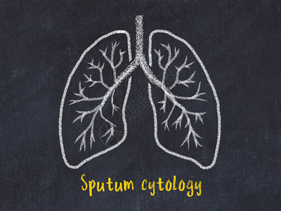 学习医学概念肺部切片绘画刻图片