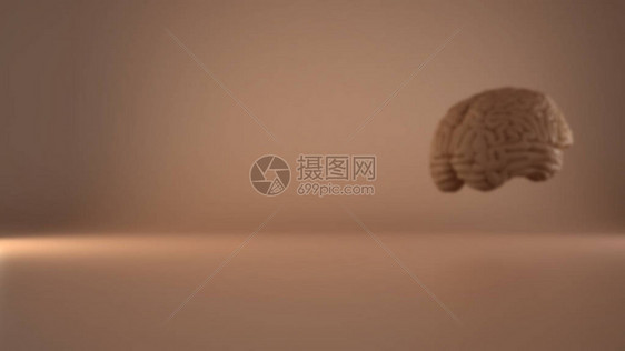 模糊背景人类漂浮大脑在玫瑰背景上人类智能概念解剖精确模型复制图片