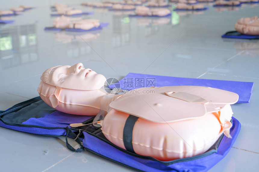 CPR 503697076 cpr-503697076