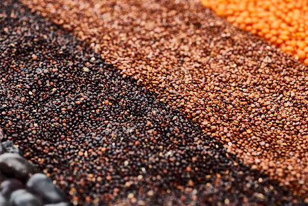 近视黑quinoa图片