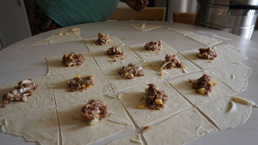 准备吉尔斯馄饨制作多肉吉尔斯馄饨吉尔图片