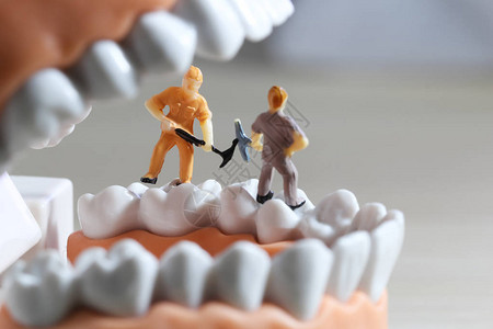 微型人物或小人物清洁牙齿模型作为医疗和保健概念清洁团队为牙科或牙医理念图片