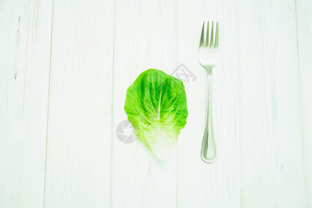 浅色背景中的新鲜生菜叶背景图片